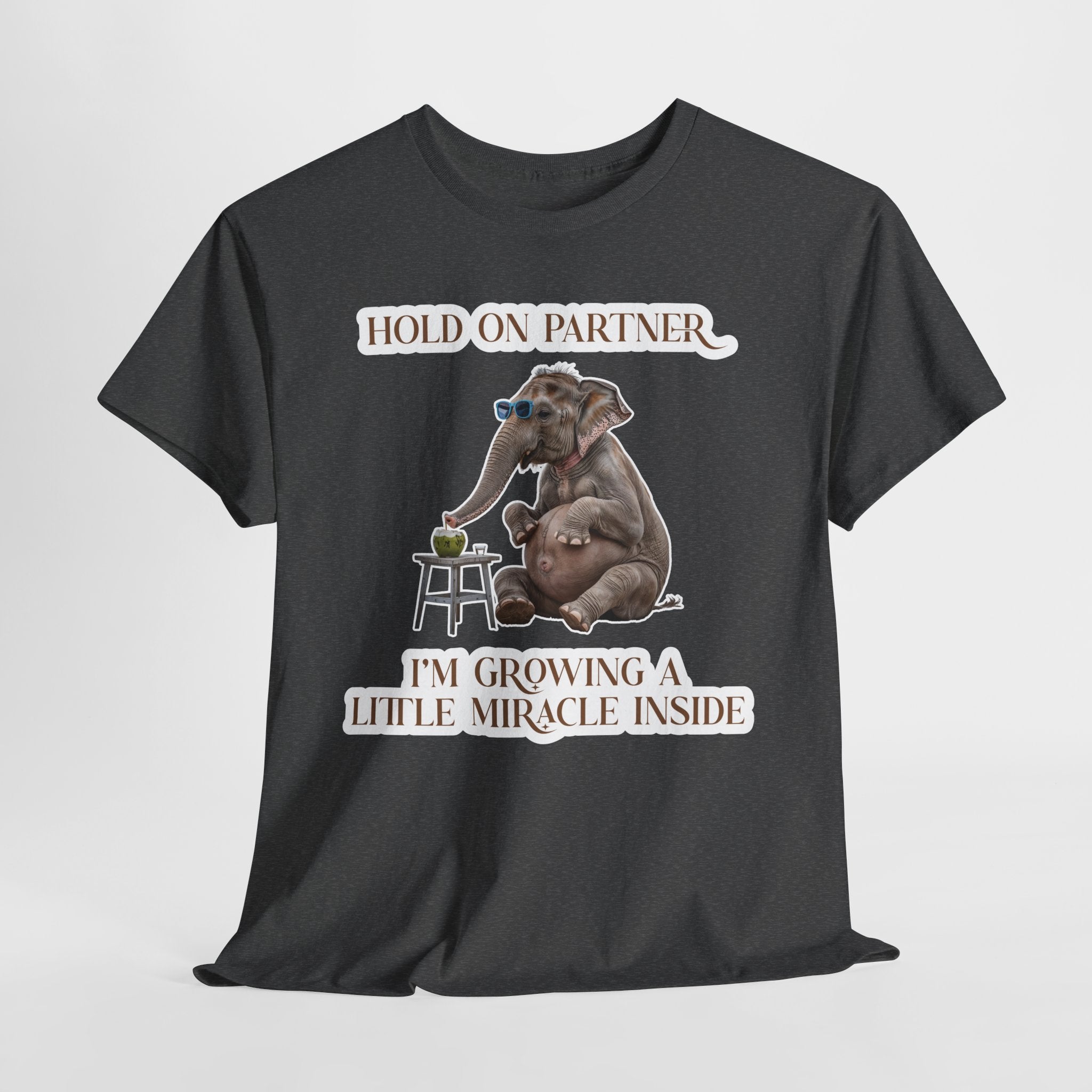 Pregnancy Tee Shirt