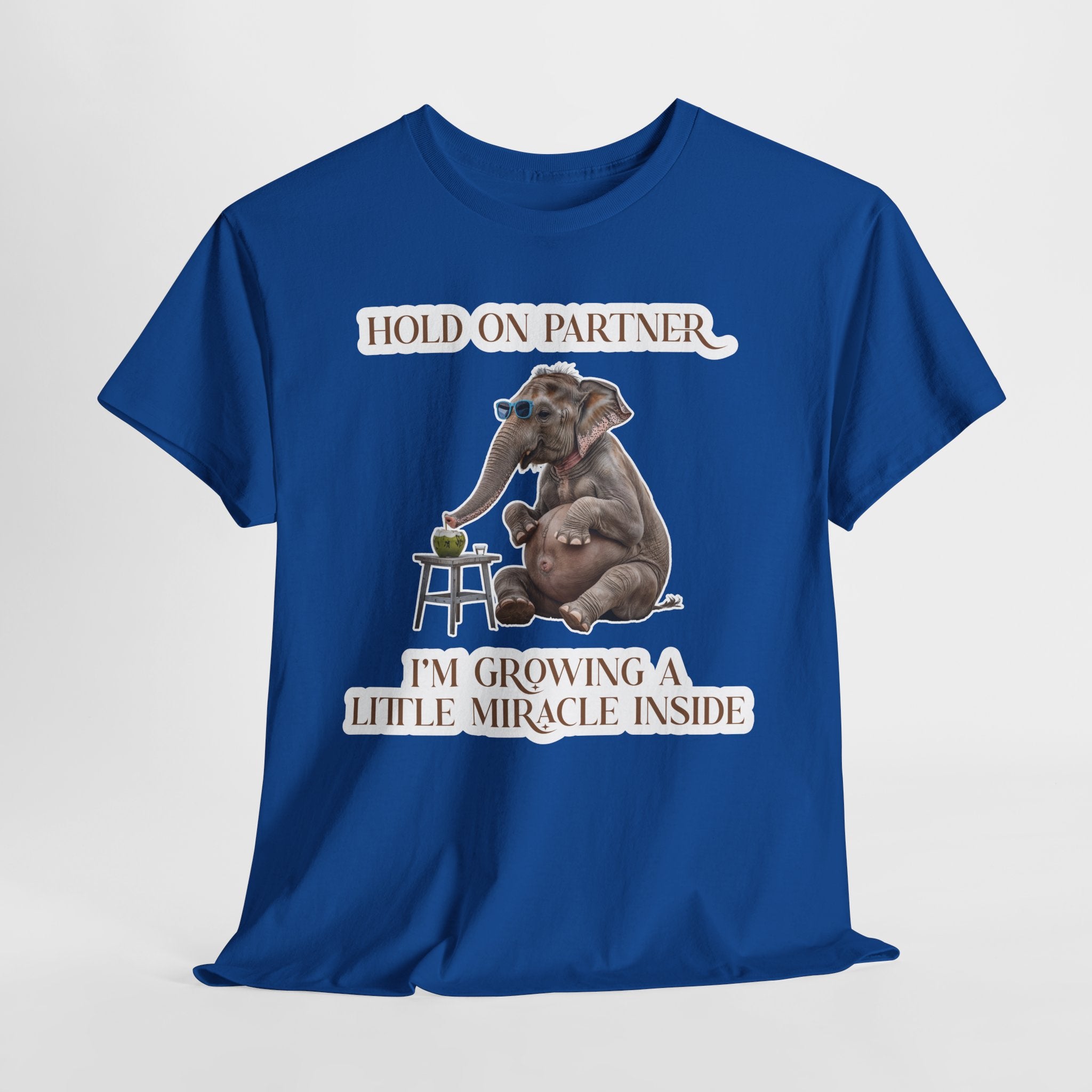 Pregnancy Tee Shirt
