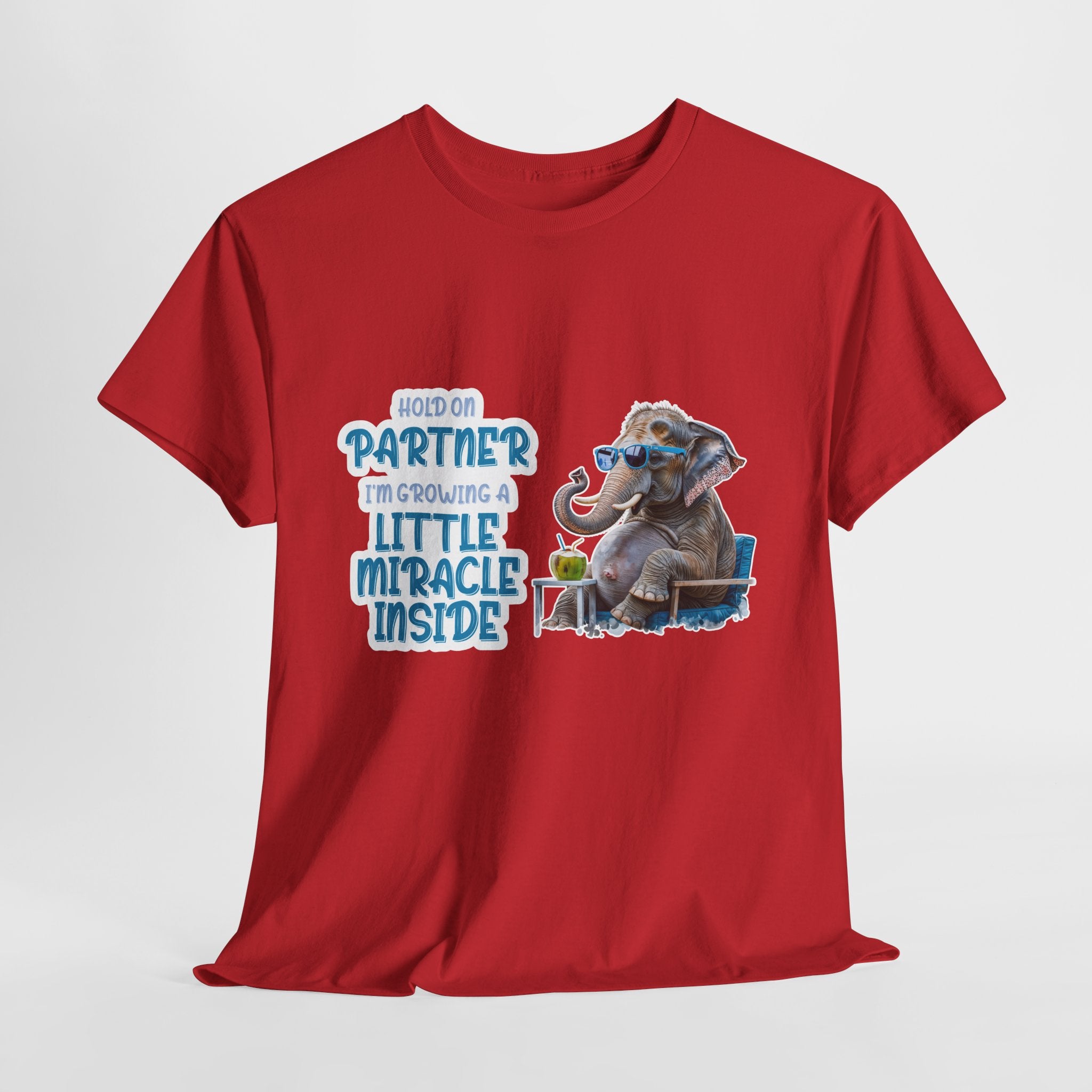 Pregnancy Tee Shirt