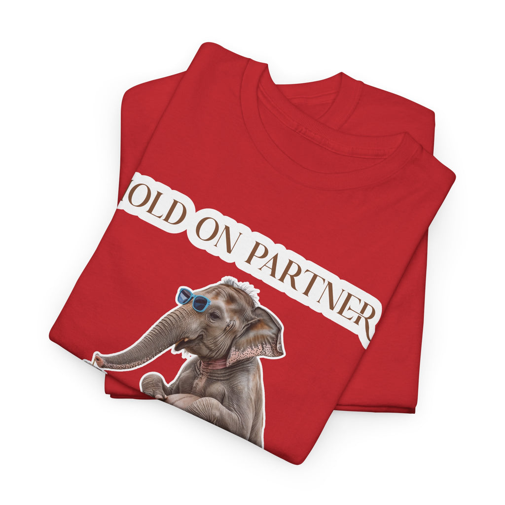 Pregnancy Tee Shirt