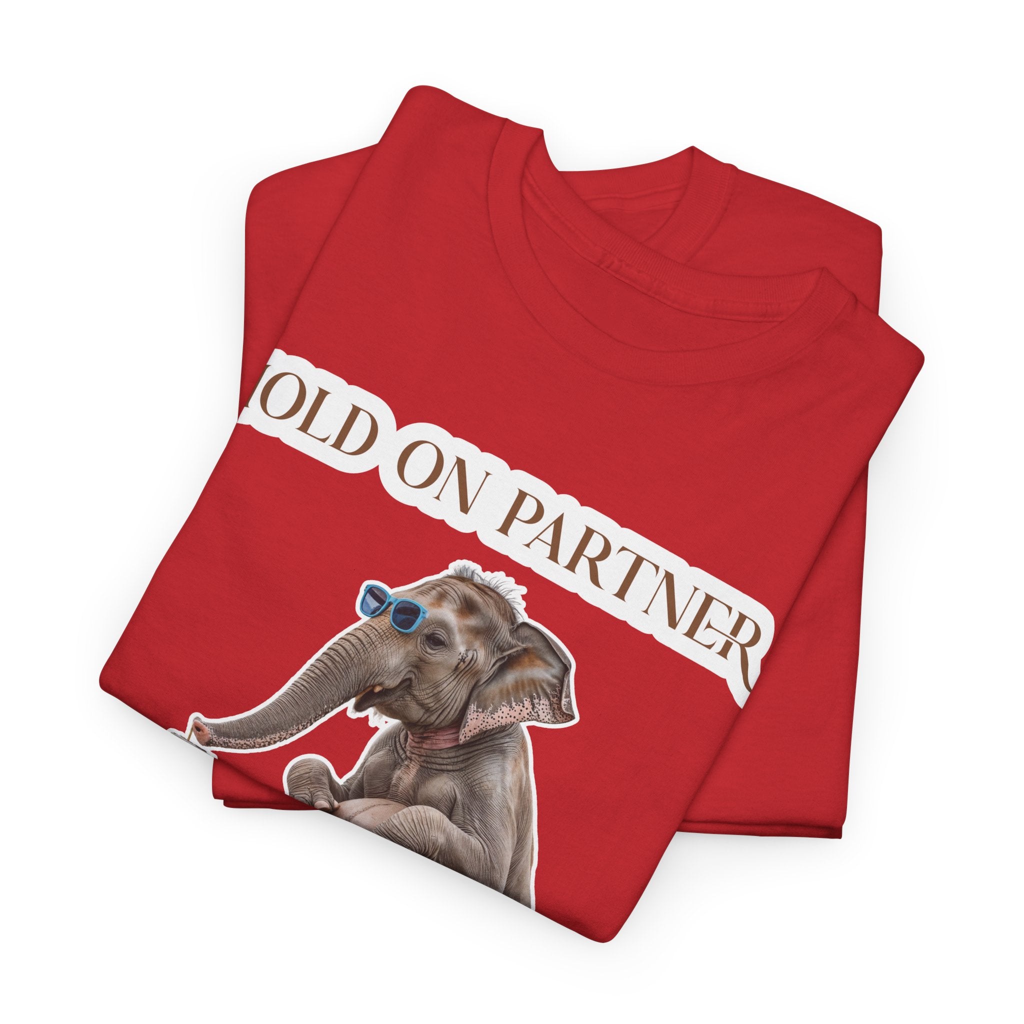 Pregnancy Tee Shirt