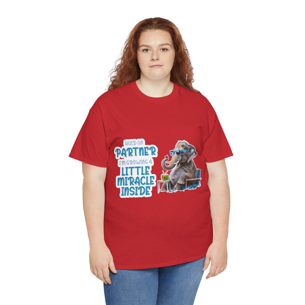 Pregnancy Tee Shirt
