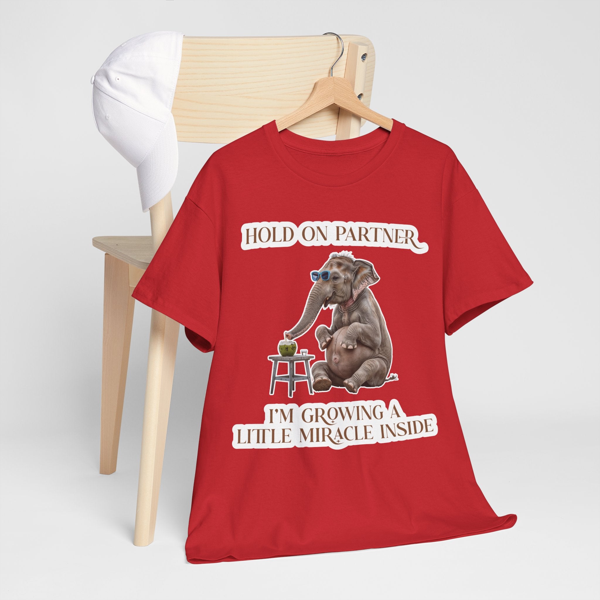 Pregnancy Tee Shirt