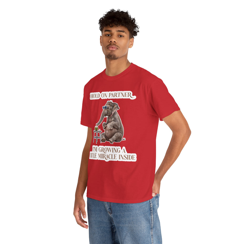 Pregnancy Tee Shirt