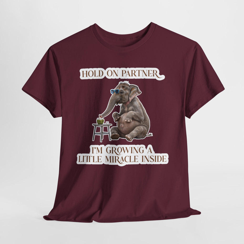 Pregnancy Tee Shirt