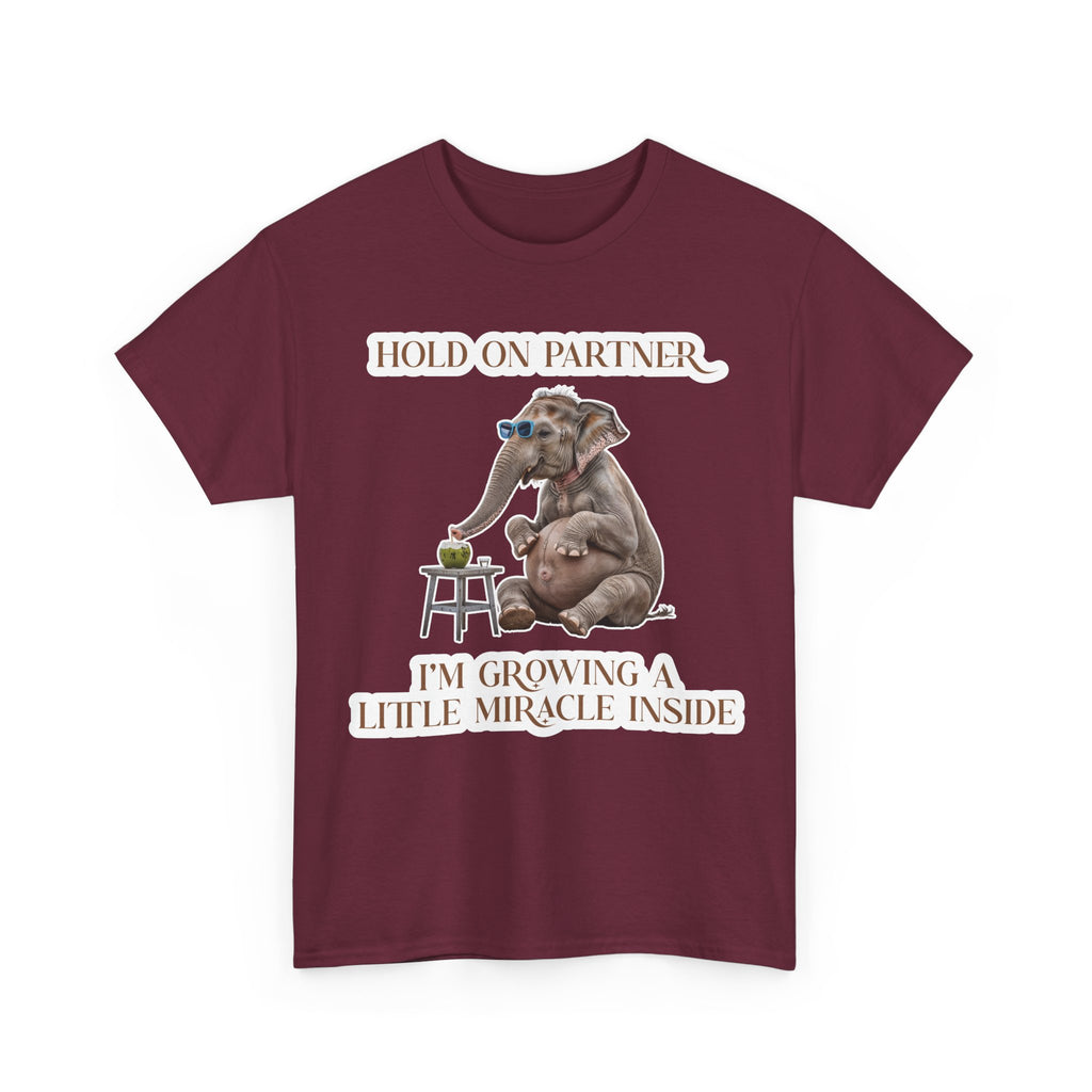 Pregnancy Tee Shirt