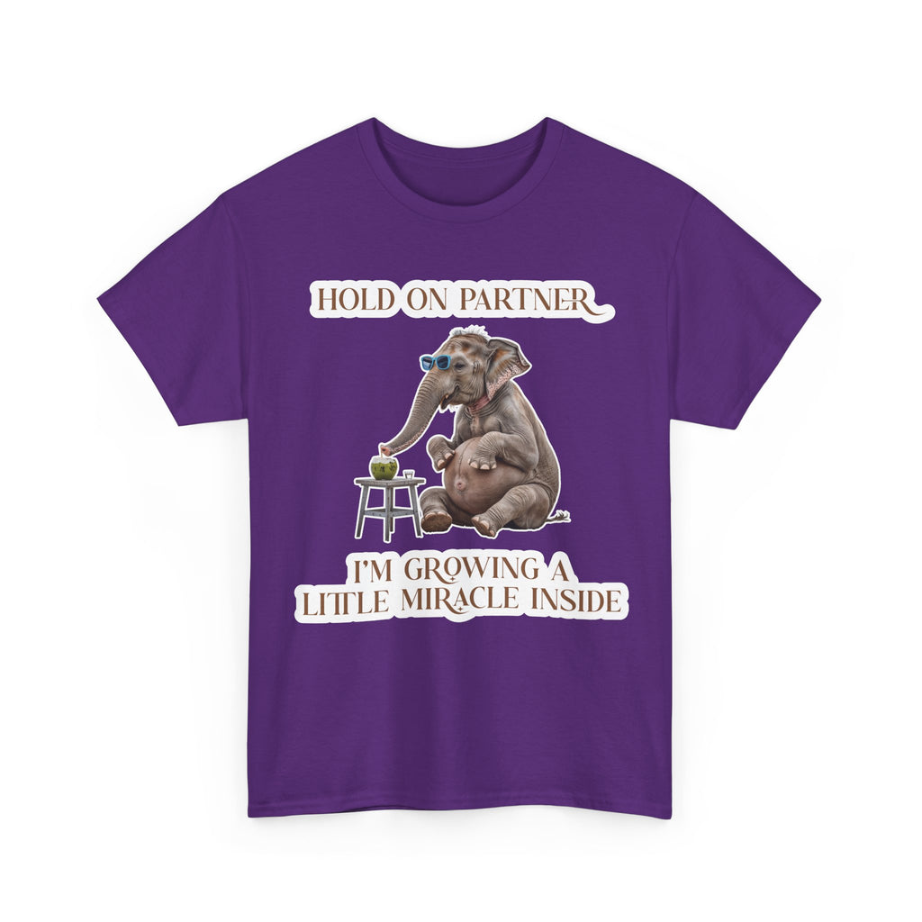 Pregnancy Tee Shirt