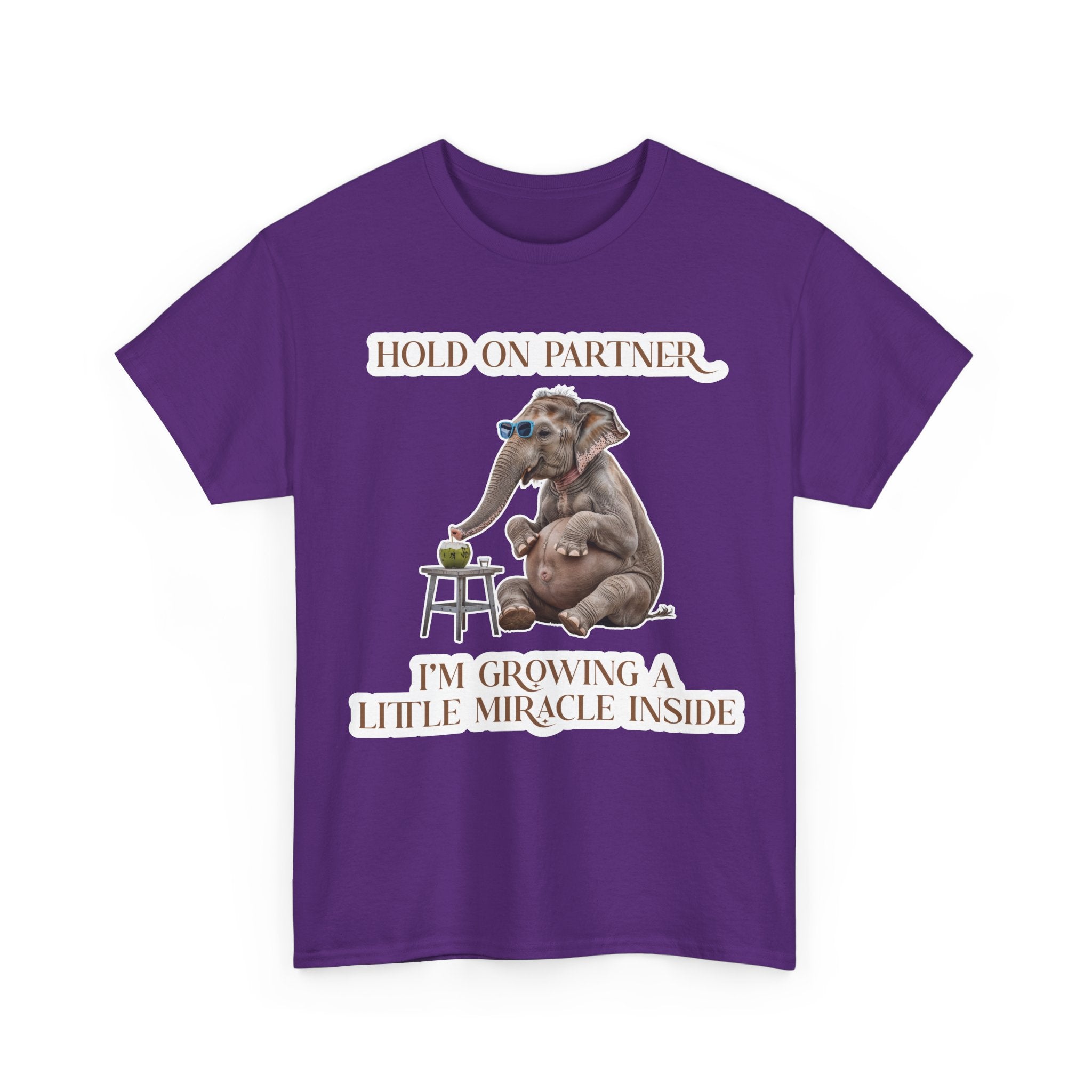 Pregnancy Tee Shirt
