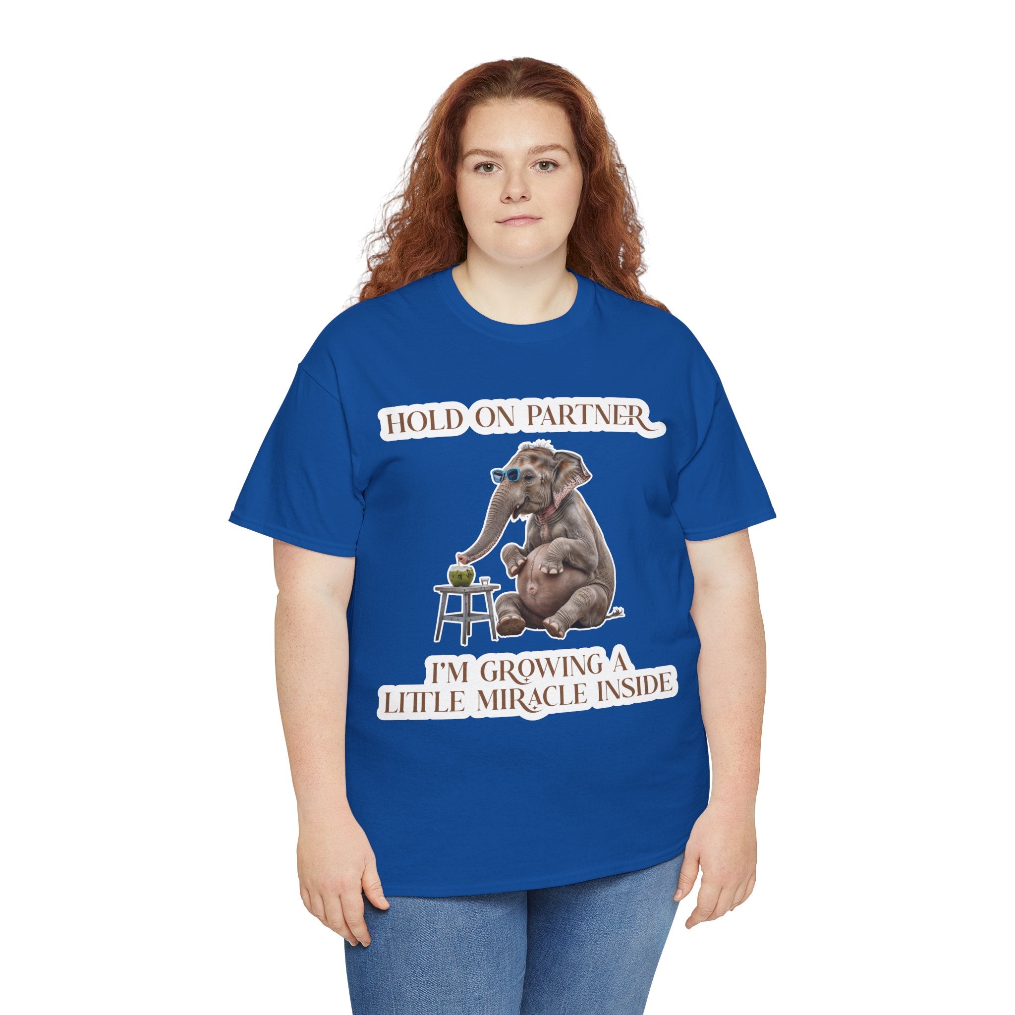 Pregnancy Tee Shirt
