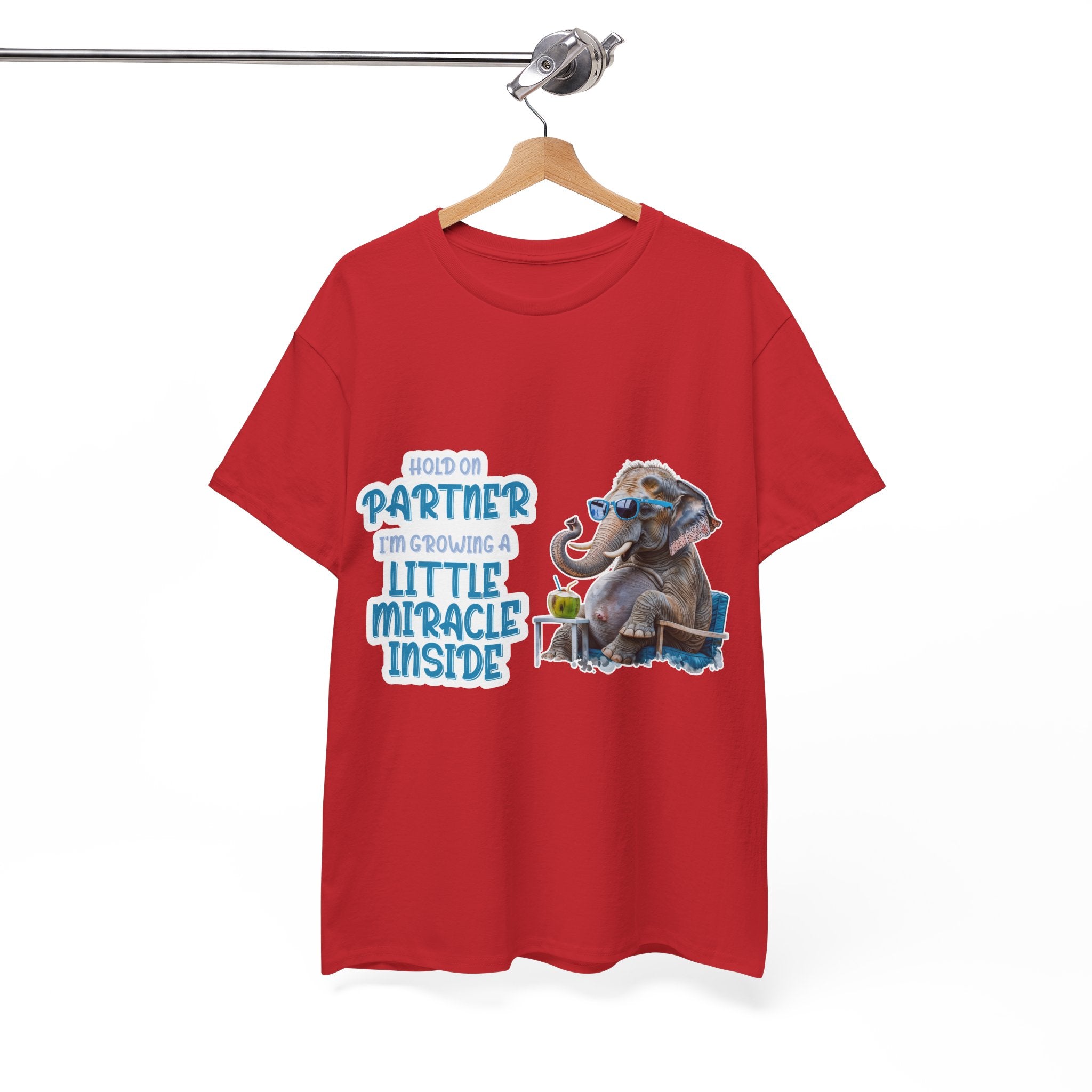 Pregnancy Tee Shirt