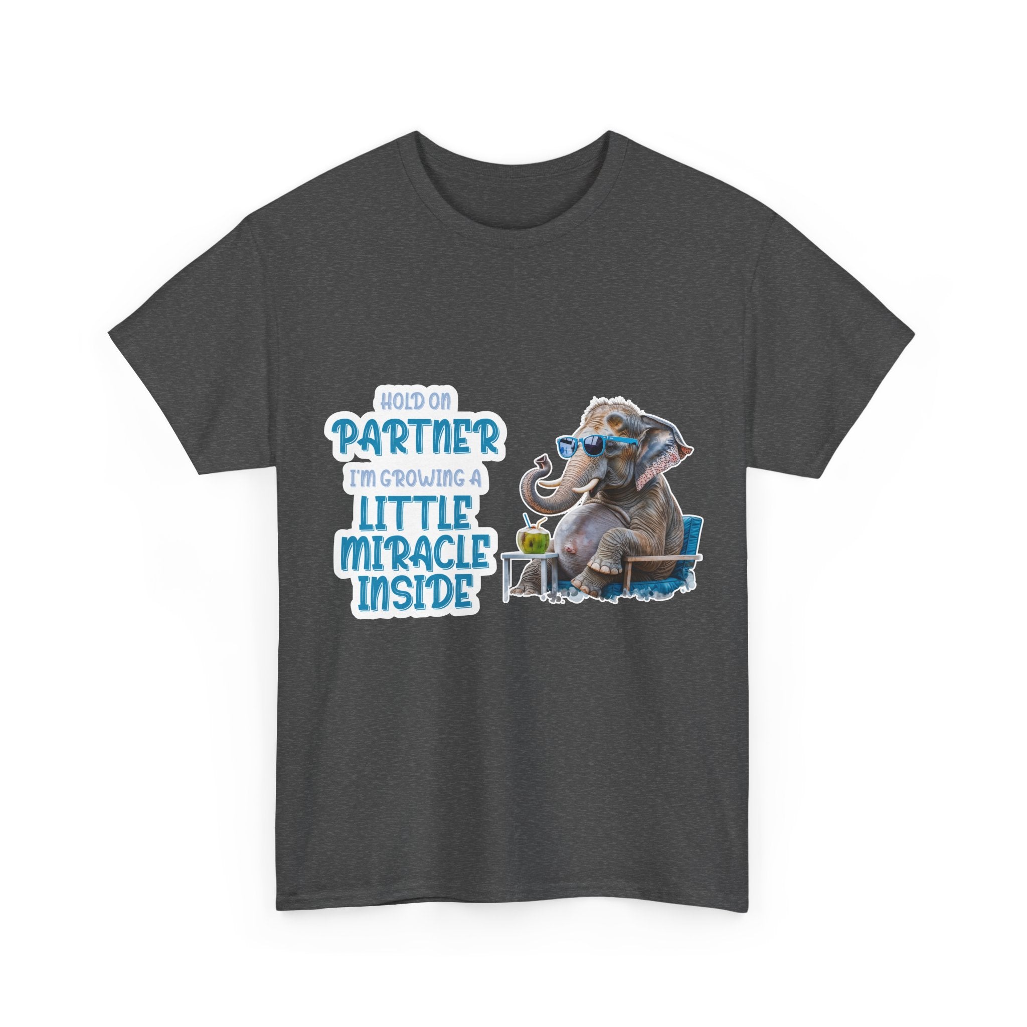 Pregnancy Tee Shirt