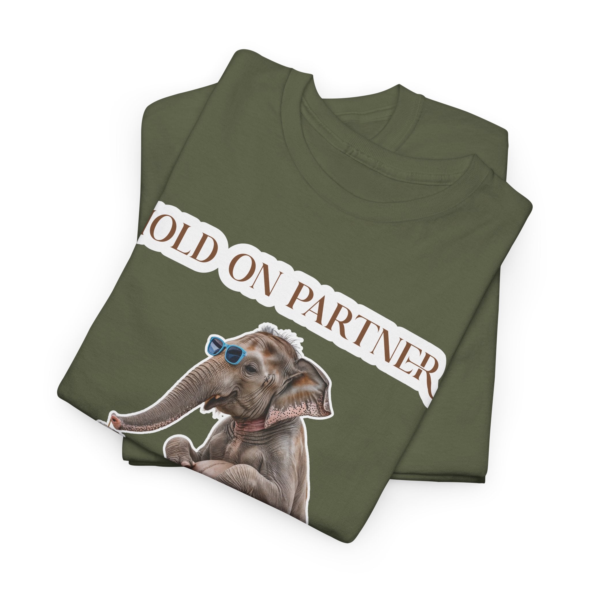 Pregnancy Tee Shirt