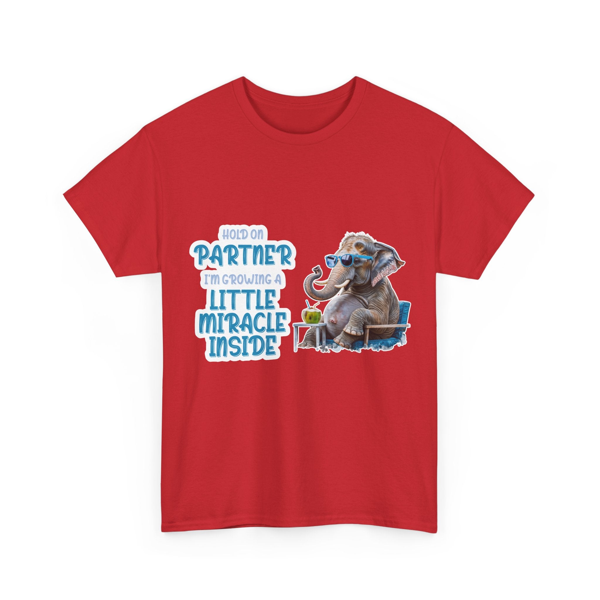 Pregnancy Tee Shirt