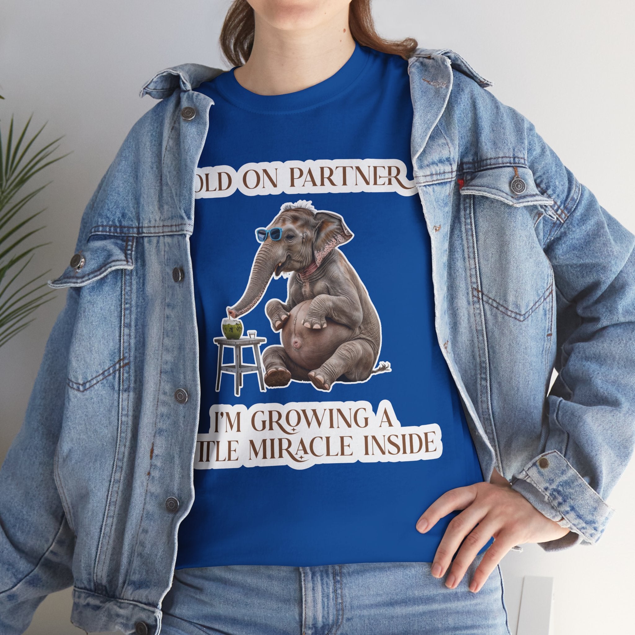 Pregnancy Tee Shirt
