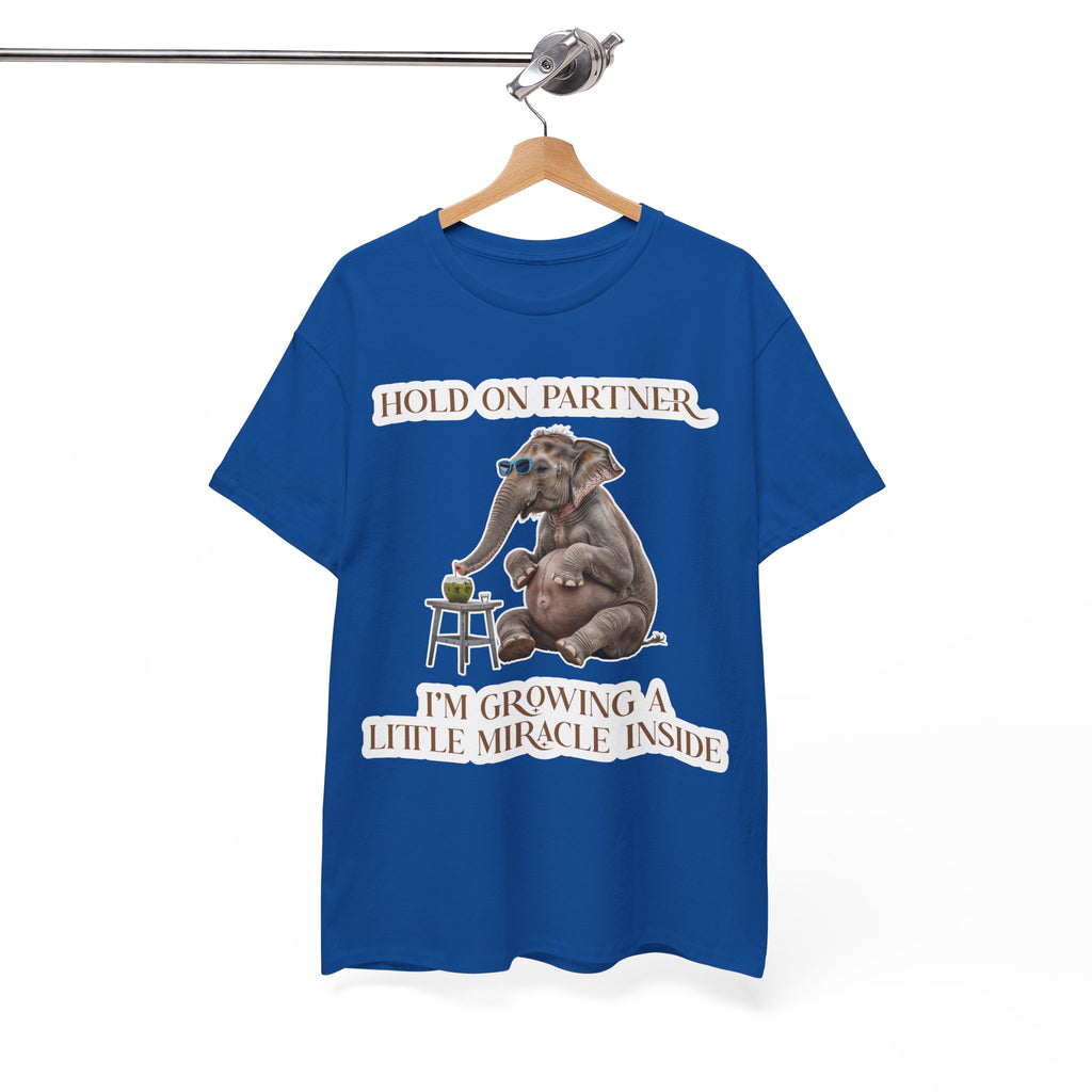 Pregnancy Tee Shirt