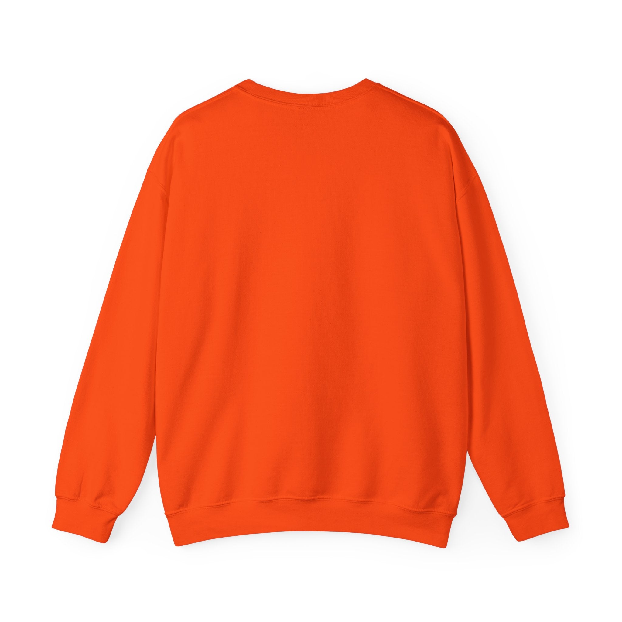 Funny Unisex Duck Graphic Sweatshirt