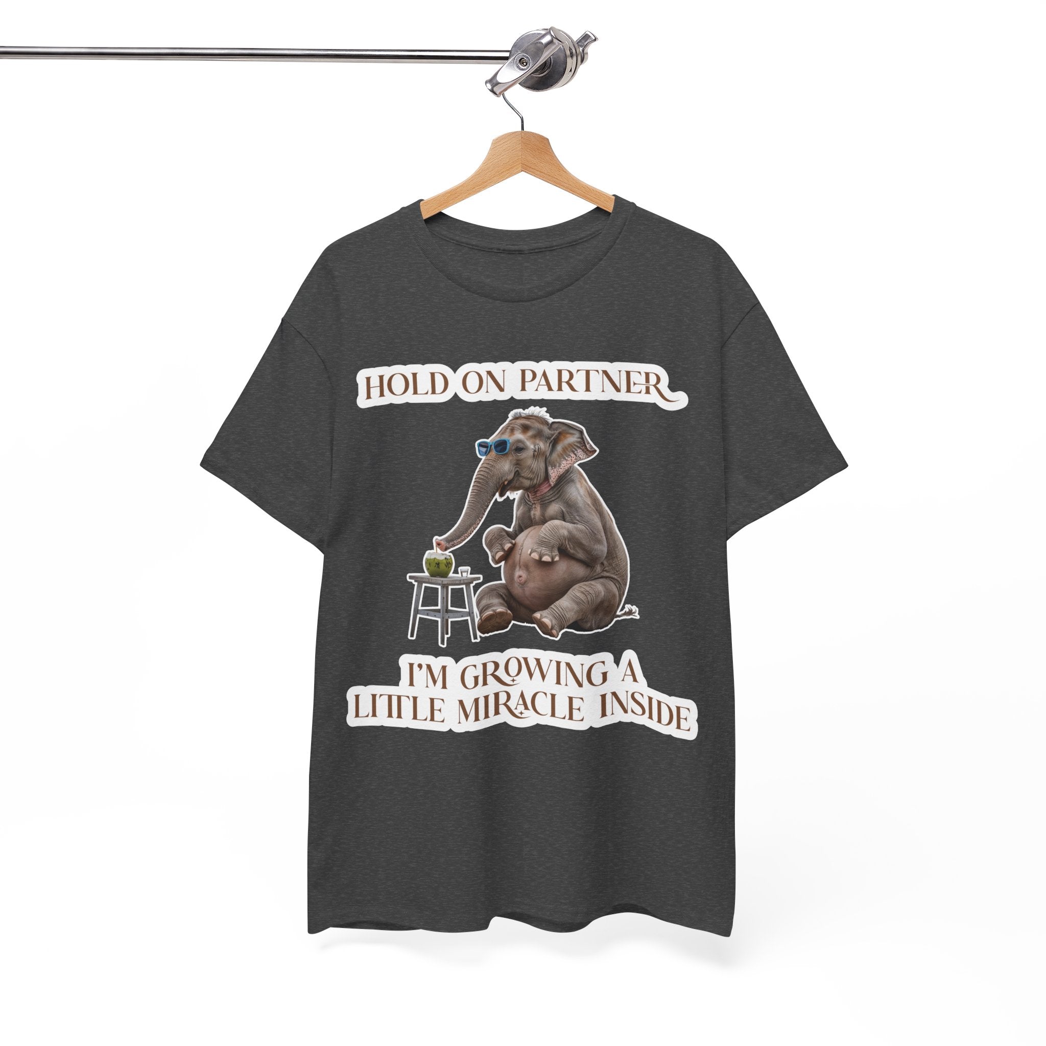 Pregnancy Tee Shirt