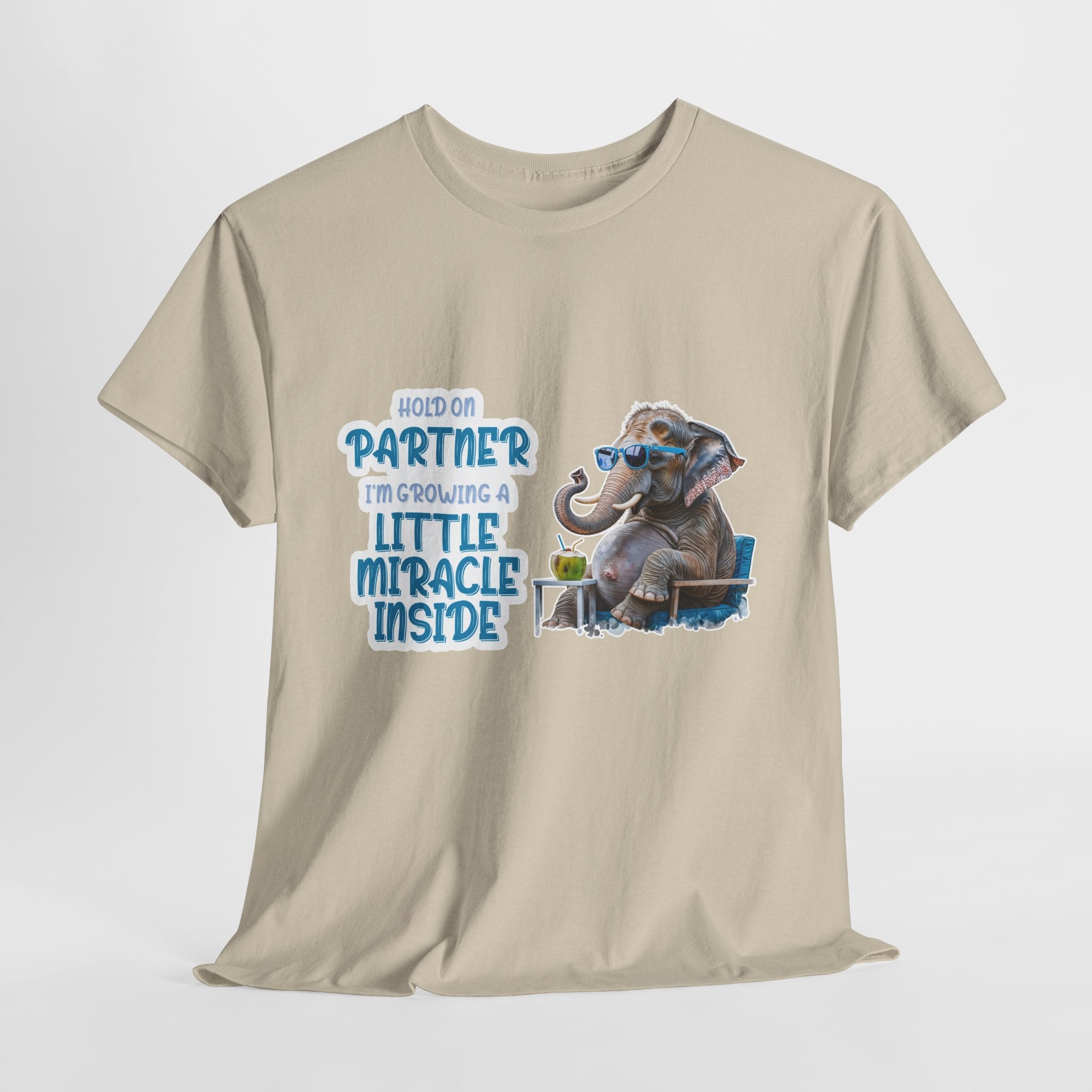 Pregnancy Tee Shirt