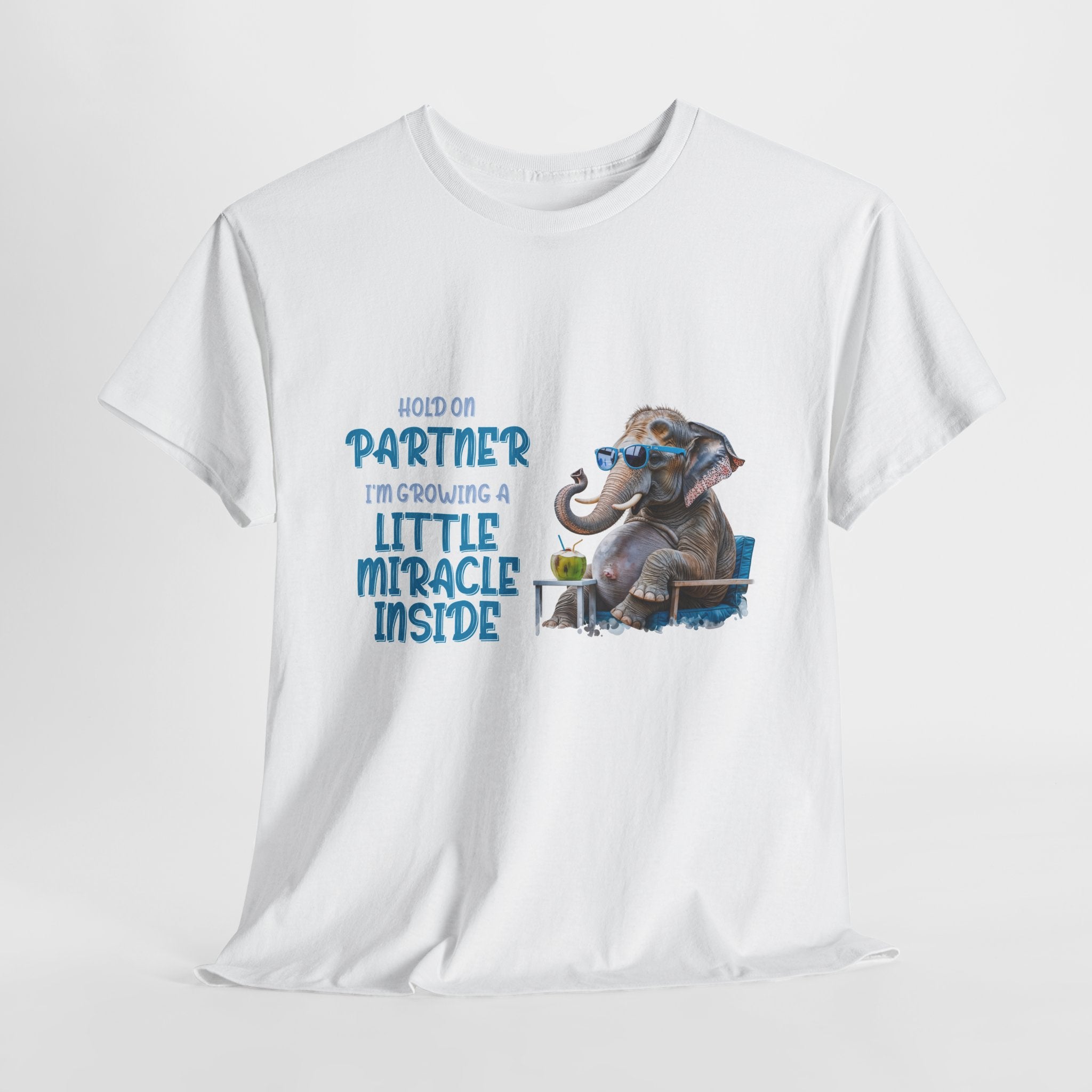 Pregnancy Tee Shirt