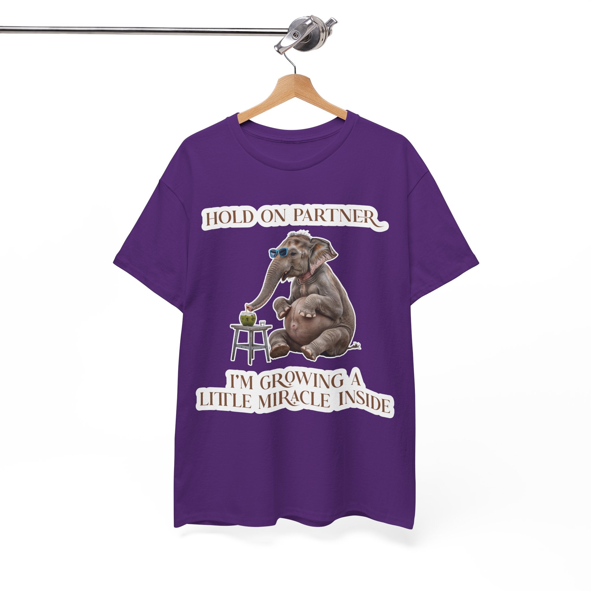 Pregnancy Tee Shirt
