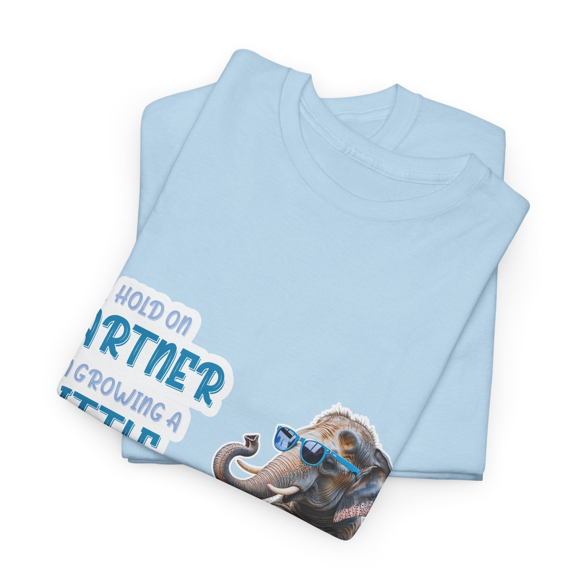 Pregnancy Tee Shirt