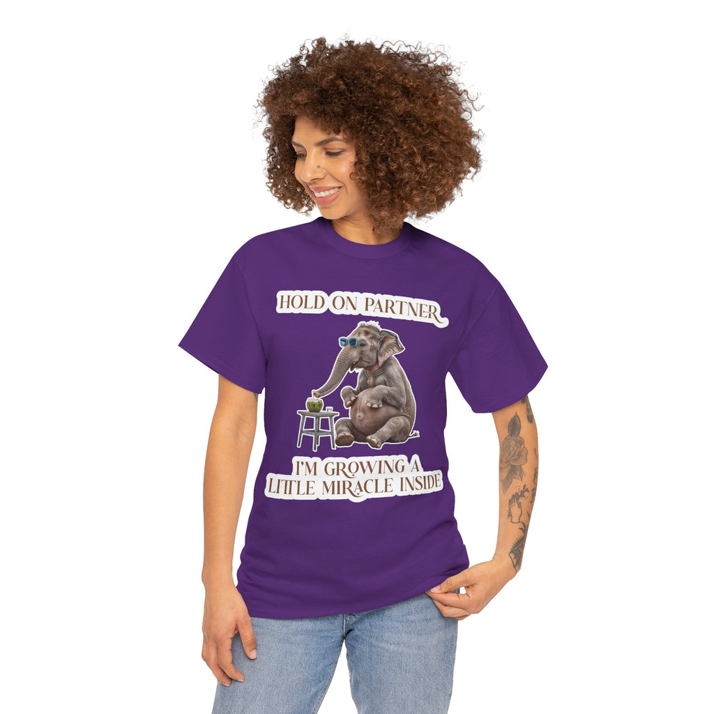 Pregnancy Tee Shirt