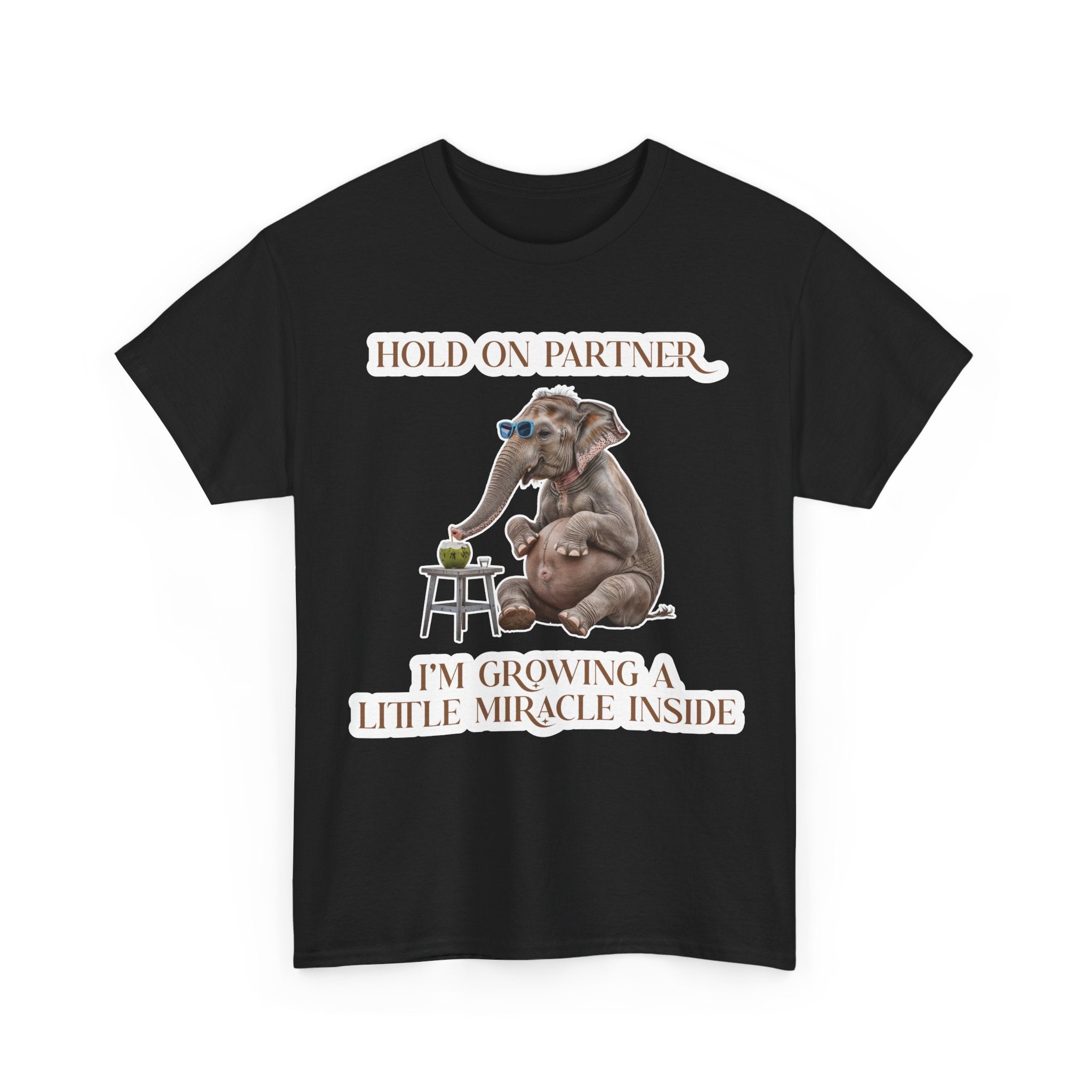 Pregnancy Tee Shirt