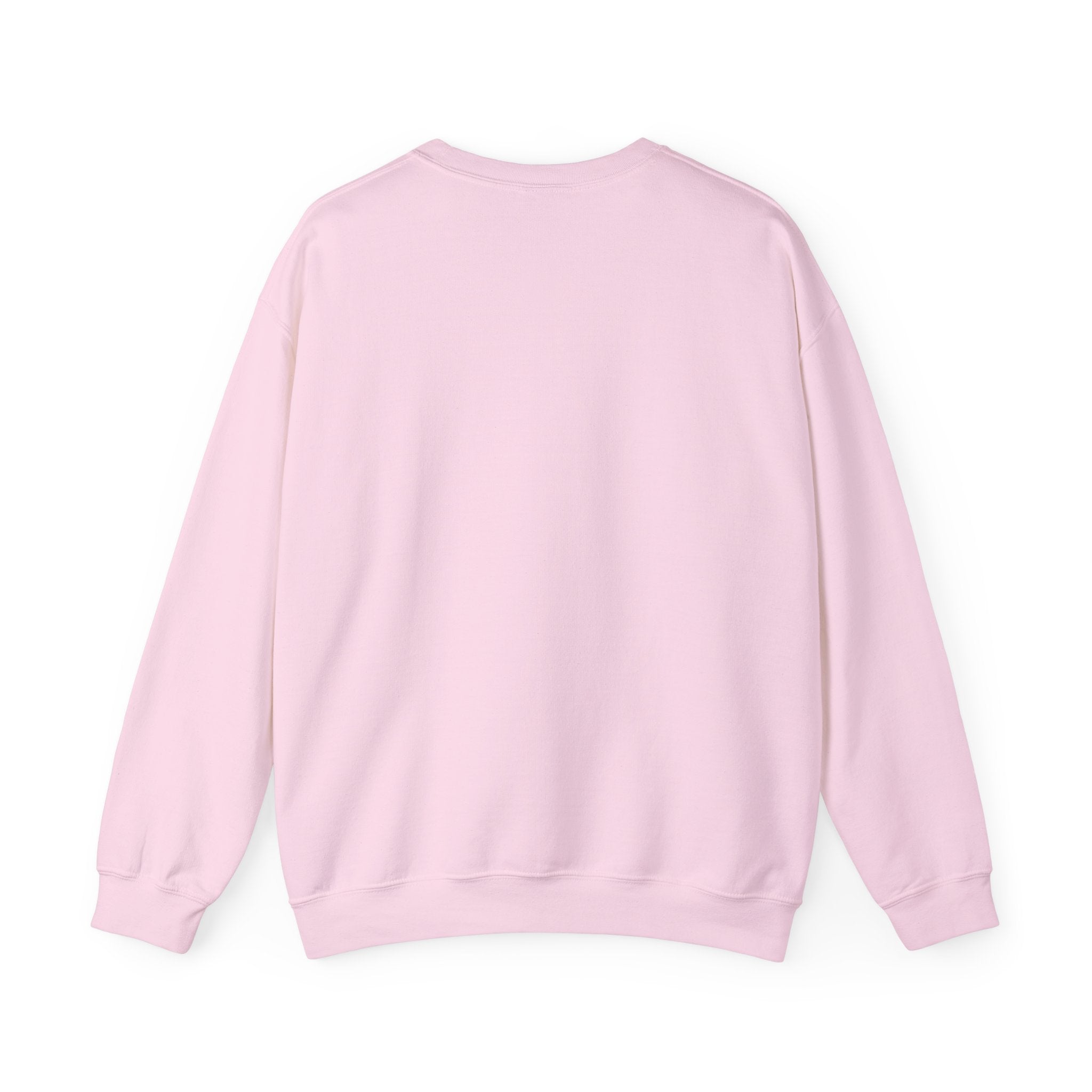 Back to School Fun Unisex Sweatshirt