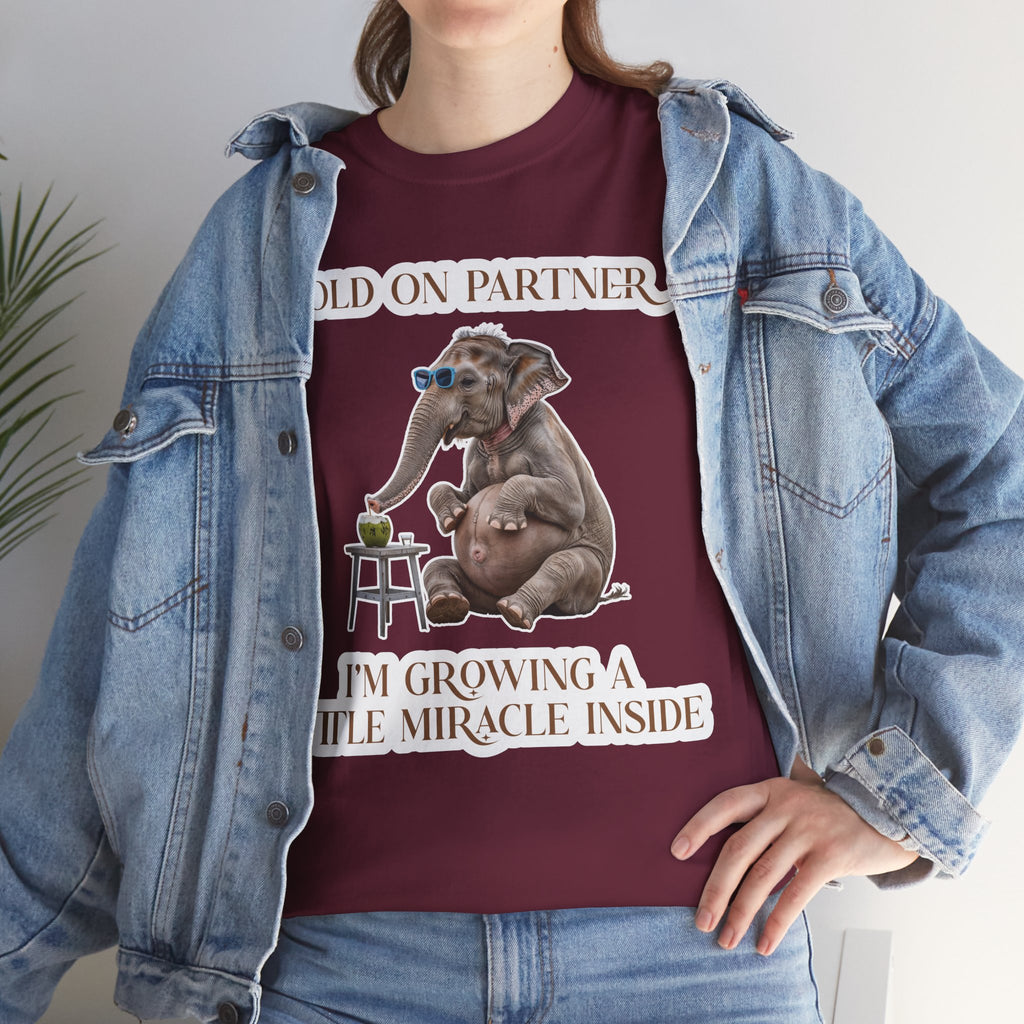 Pregnancy Tee Shirt