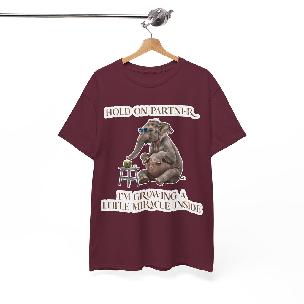 Pregnancy Tee Shirt