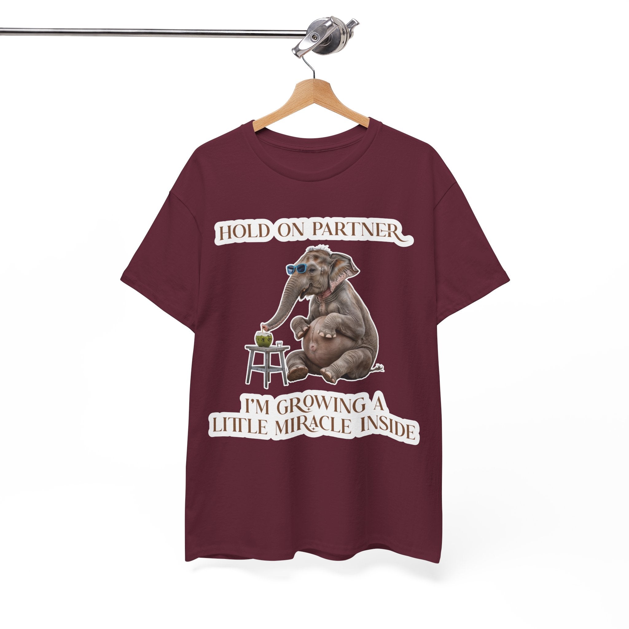 Pregnancy Tee Shirt