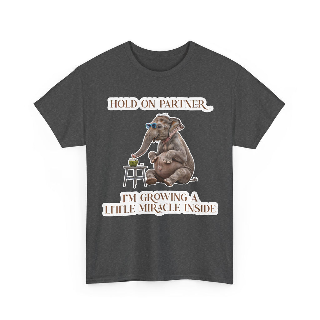 Pregnancy Tee Shirt