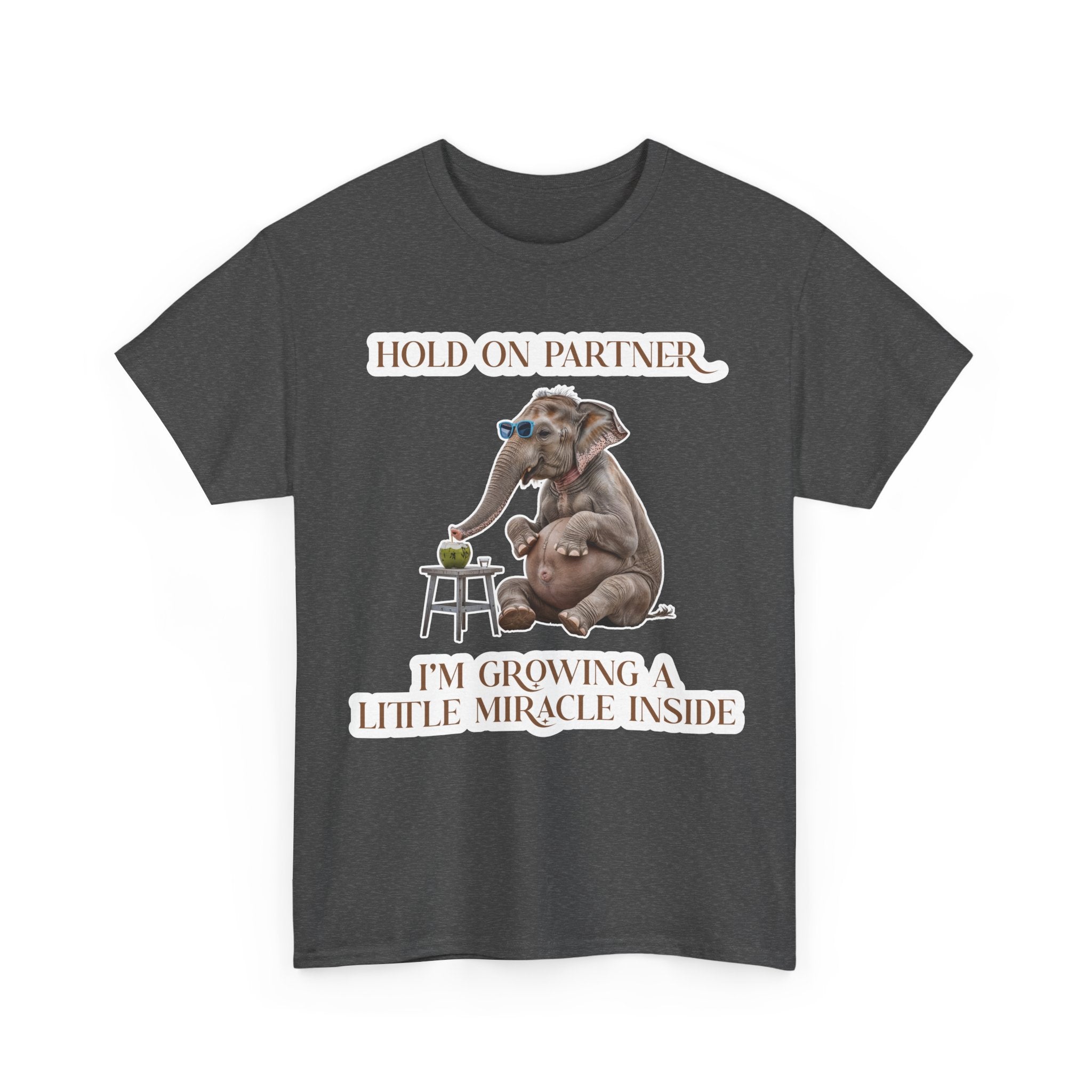 Pregnancy Tee Shirt