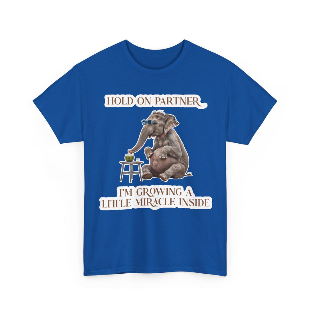 Pregnancy Tee Shirt