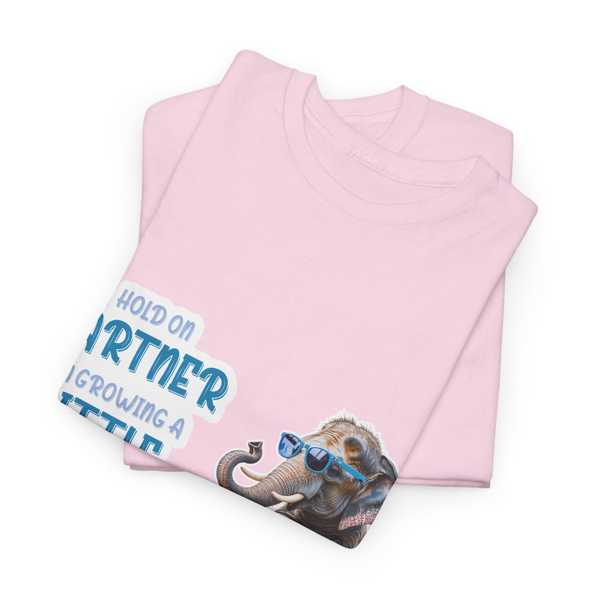 Pregnancy Tee Shirt