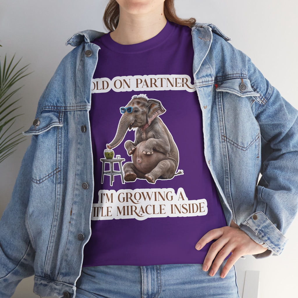 Pregnancy Tee Shirt