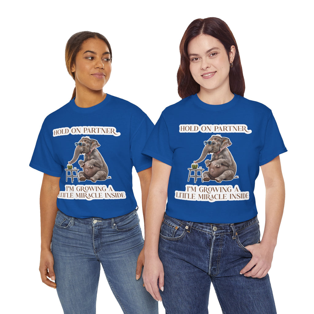 Pregnancy Tee Shirt
