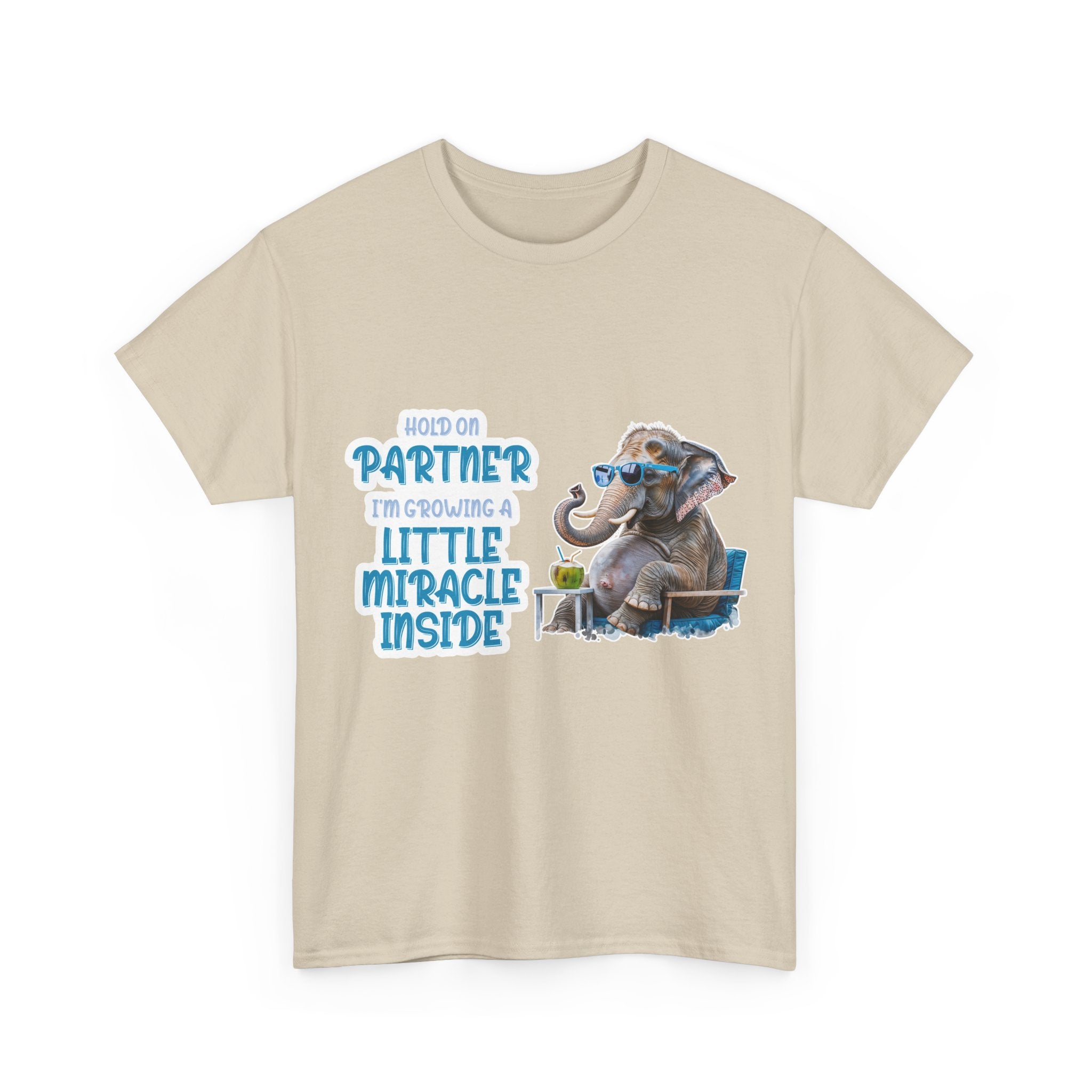 Pregnancy Tee Shirt