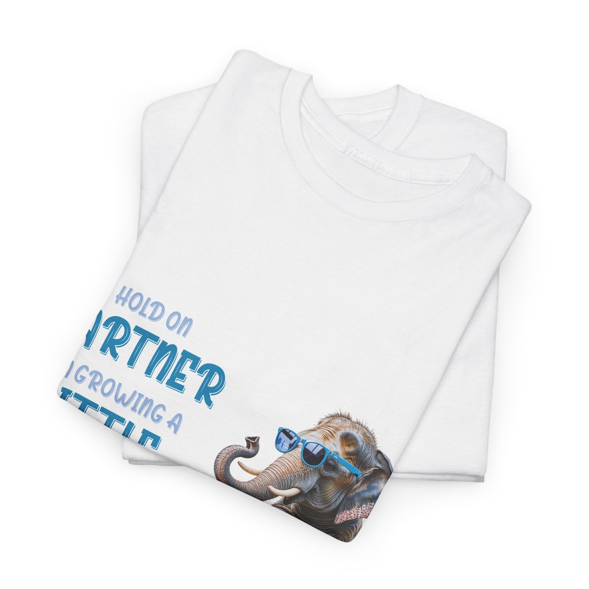 Pregnancy Tee Shirt