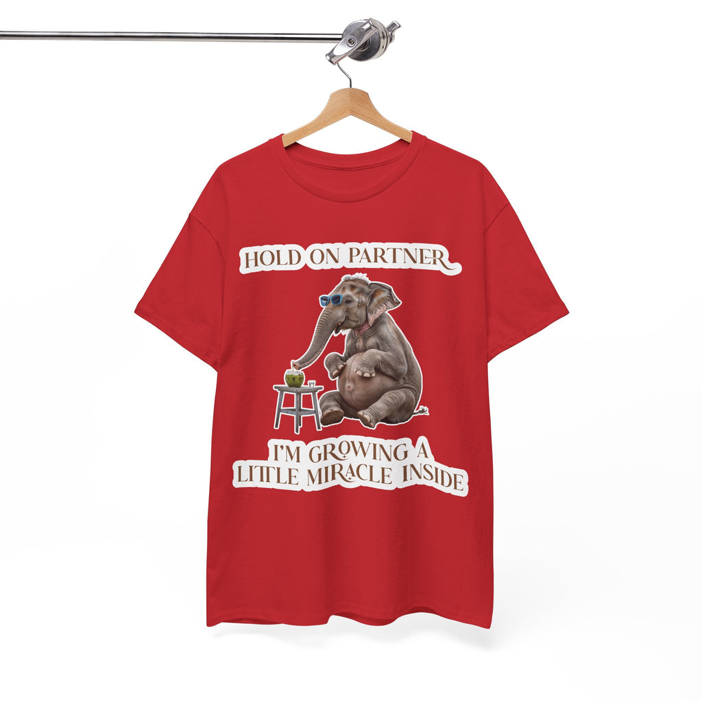 Pregnancy Tee Shirt