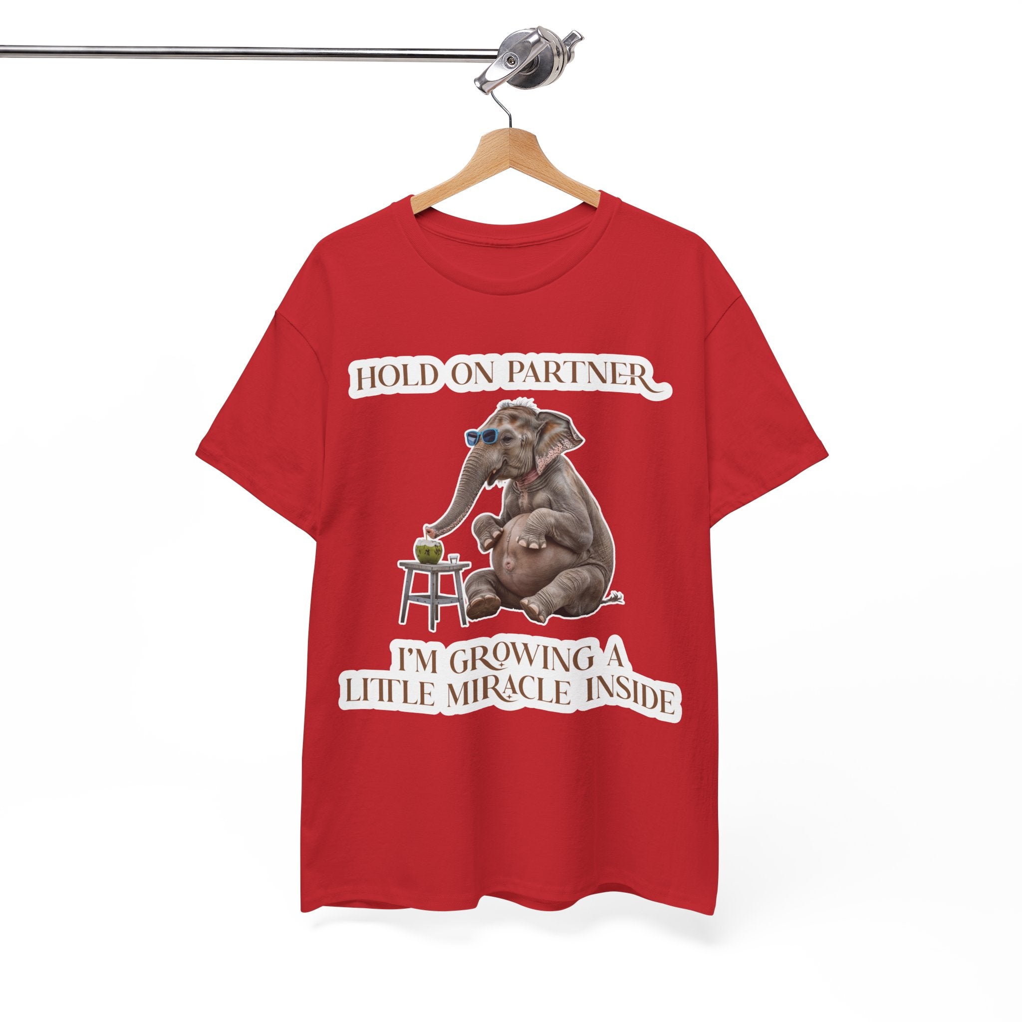 Pregnancy Tee Shirt