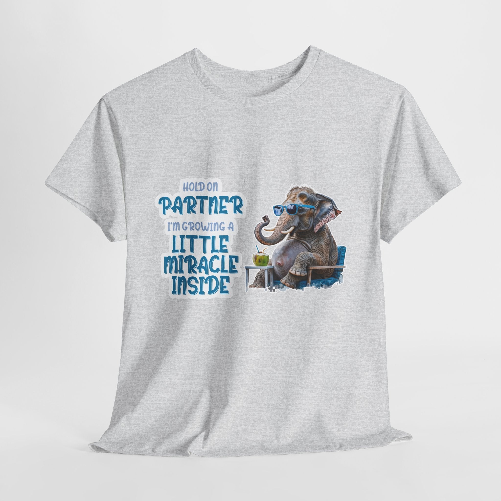Pregnancy Tee Shirt