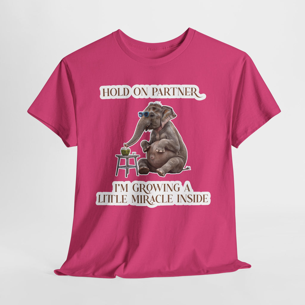 Pregnancy Tee Shirt