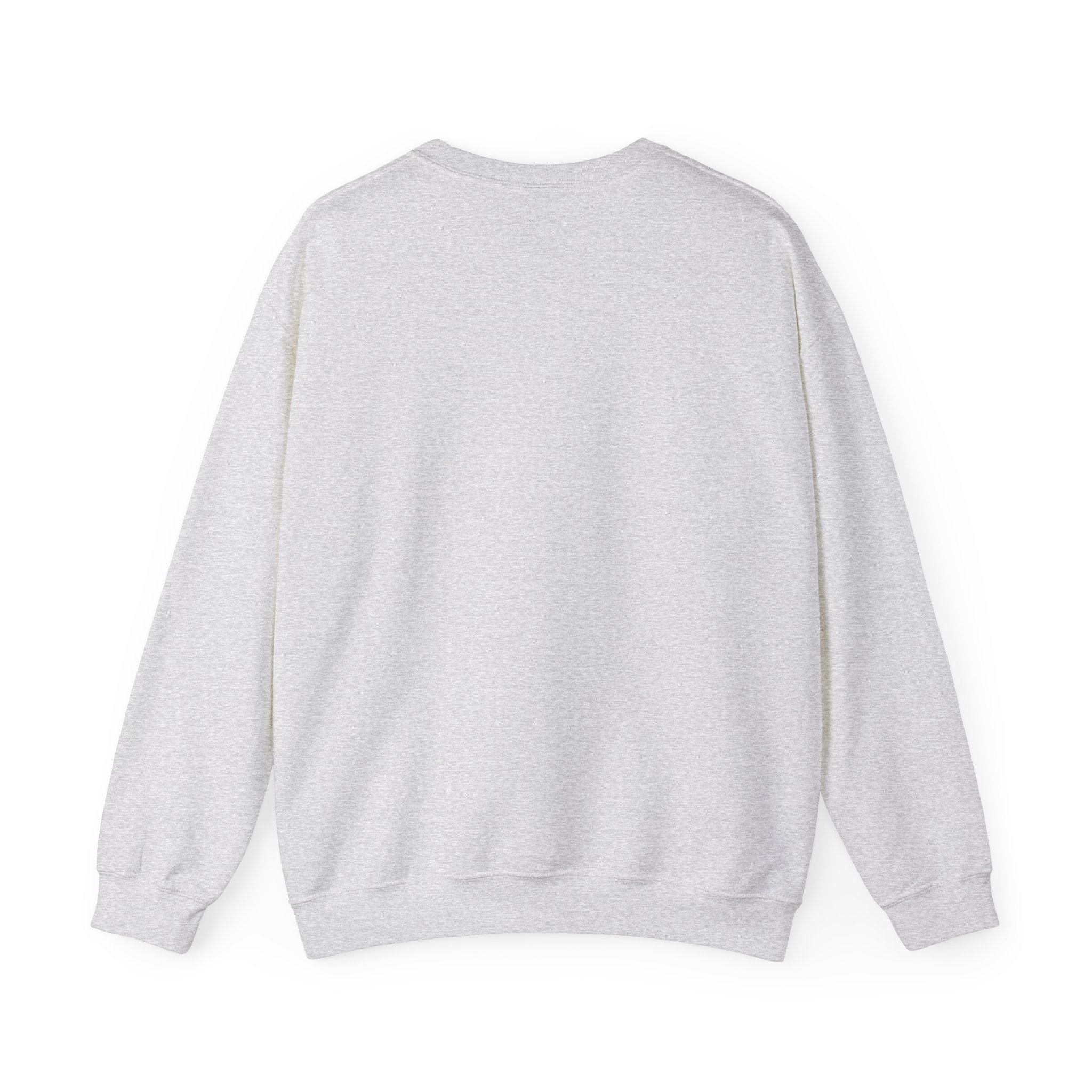Back to School Fun Unisex Sweatshirt