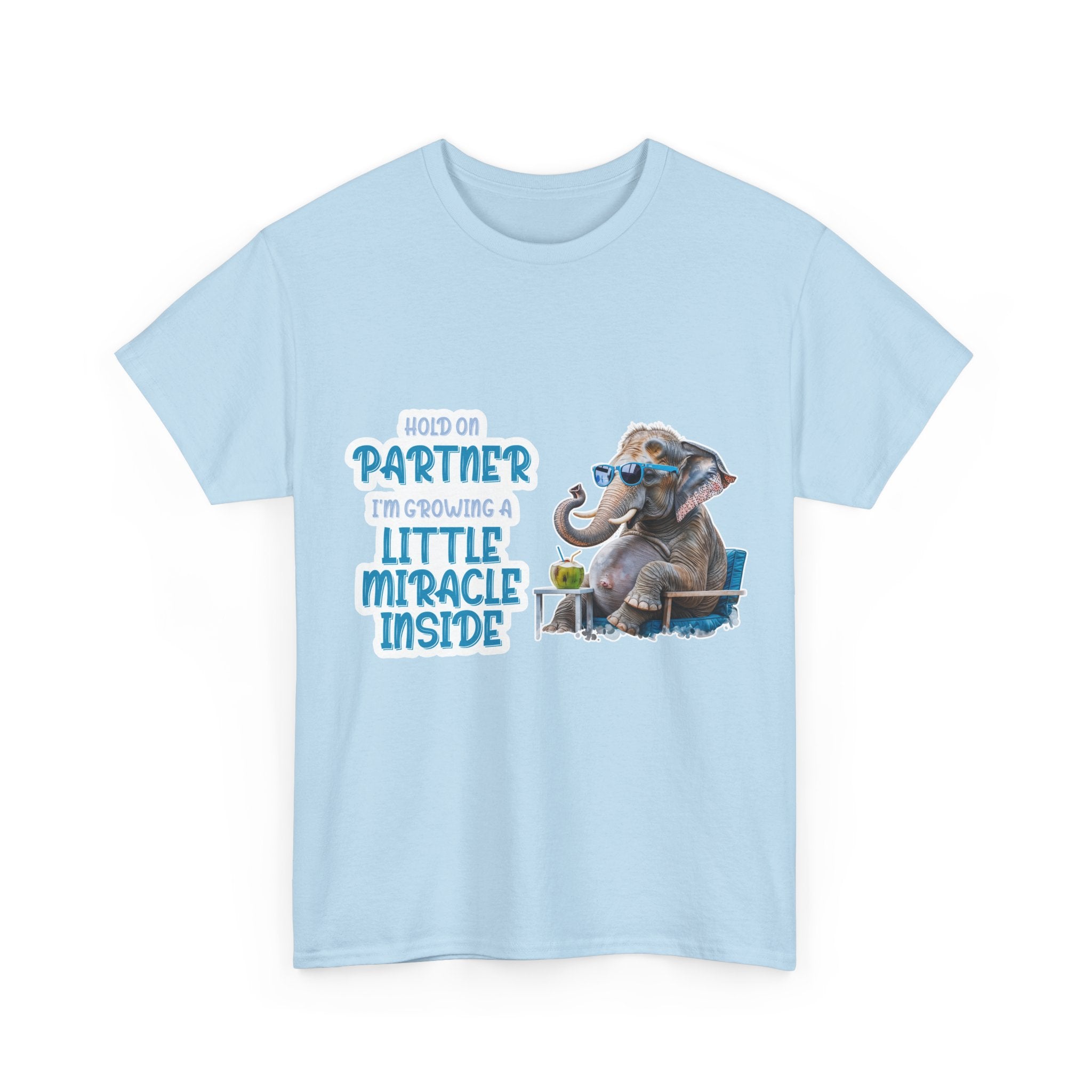Pregnancy Tee Shirt