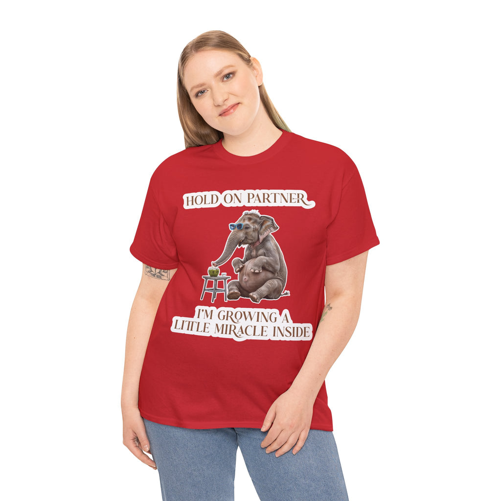 Pregnancy Tee Shirt