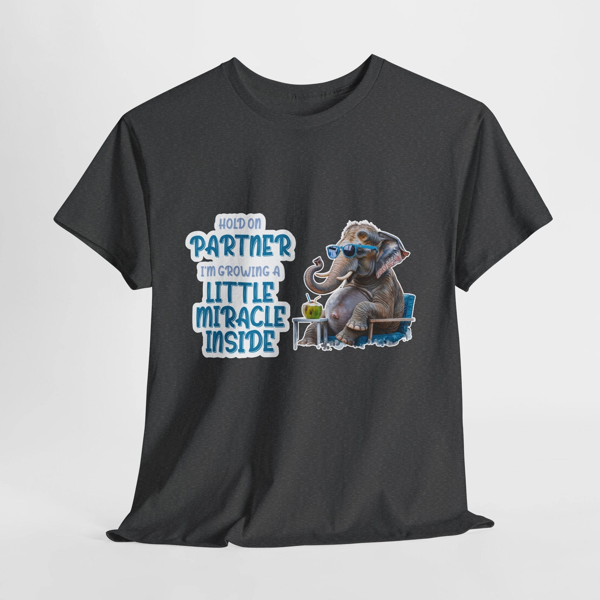 Pregnancy Tee Shirt