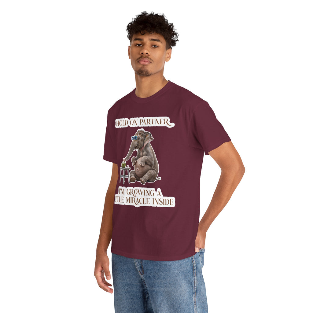 Pregnancy Tee Shirt