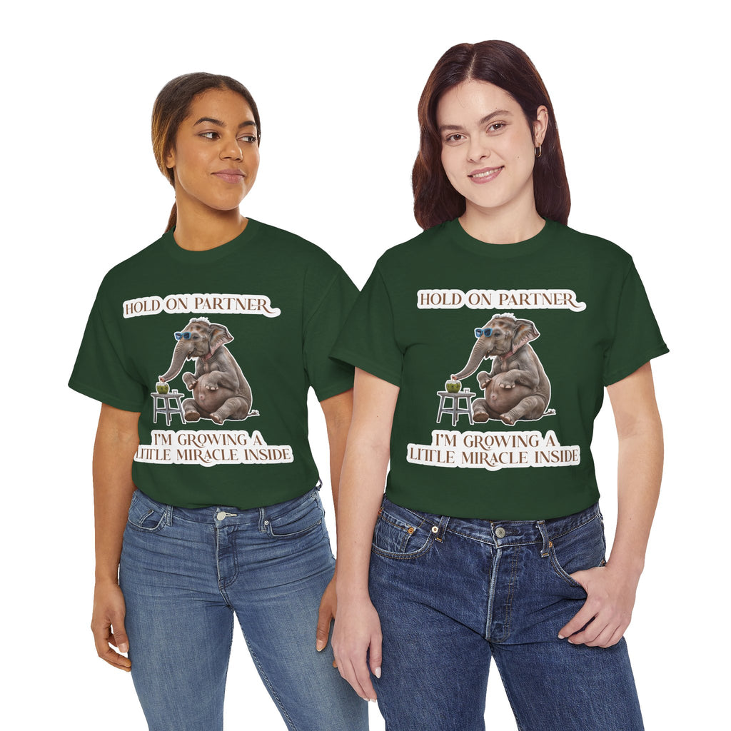 Pregnancy Tee Shirt