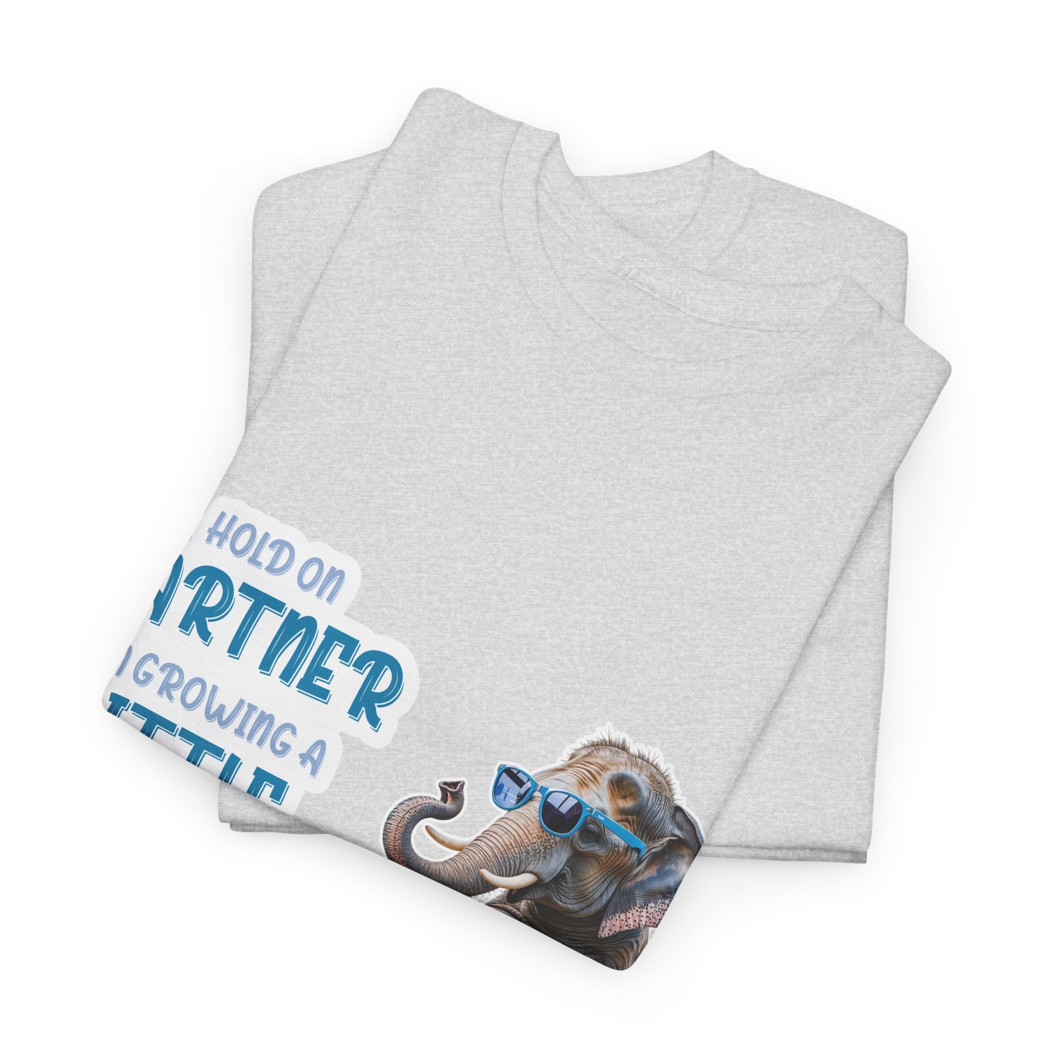 Pregnancy Tee Shirt